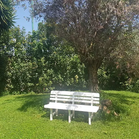 Bed & Breakfast Dalia Angri