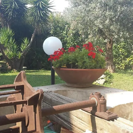 Dalia Bed & Breakfast