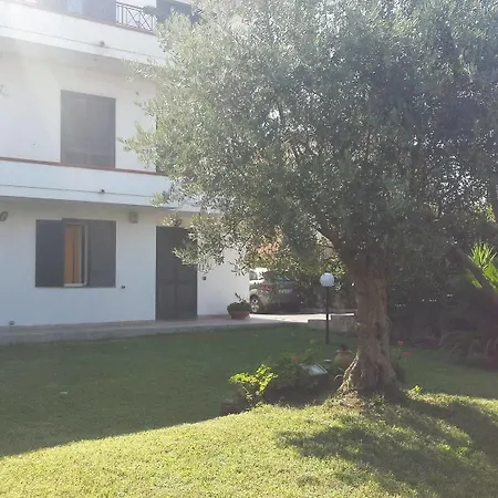Bed and Breakfast Dalia